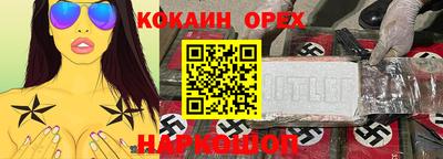 гидра Новозыбков