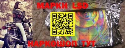 гидра Новозыбков