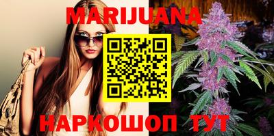 гидра Новозыбков