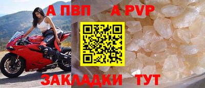 гидра Новозыбков