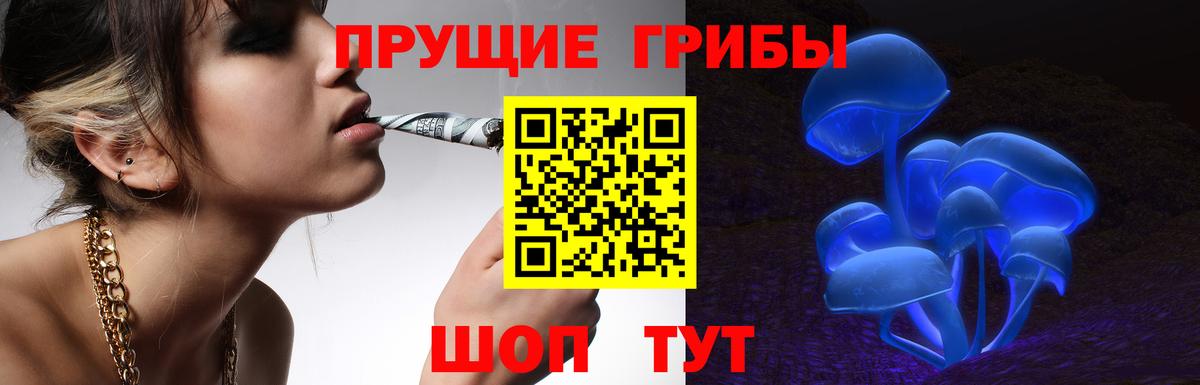 Тамбов  Псилоцибиновые грибы Psilocybine cubensis  цена наркотик  Вход с VPN  Псилоцибиновые грибы MAGIC MUSHROOMS 